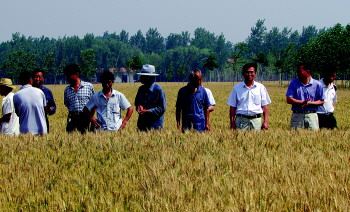 巨野:保护性耕作小麦亩产1120斤