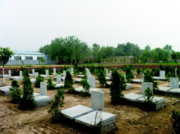 2011年建立的茌平县胡屯镇大岳庄村纪念堂和新型生态墓地.