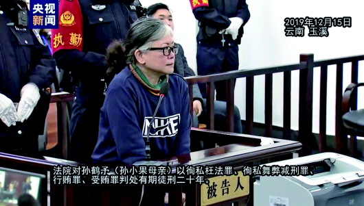 央视新闻截图 孙鹤予(孙小果母亲)被判处有期徒刑二十年.