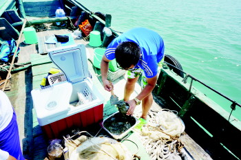 海洋底泥检测结果对陆源污染物监管有指导意义