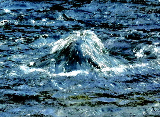 老城区22组直饮点十一前可喝泉水