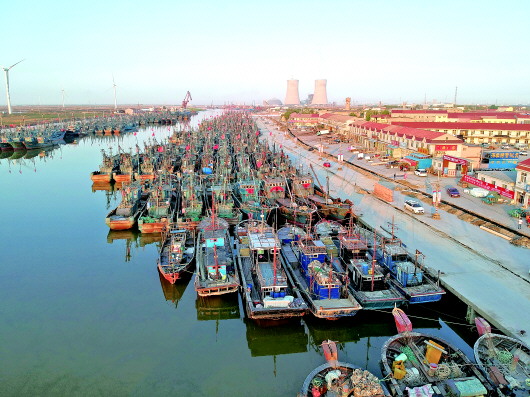 寿光渔港码头图片