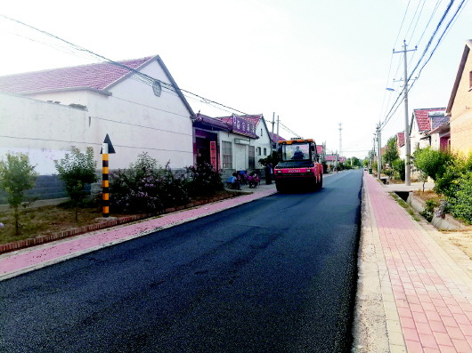 殷巷镇李桂芬村通村路养护大中修.