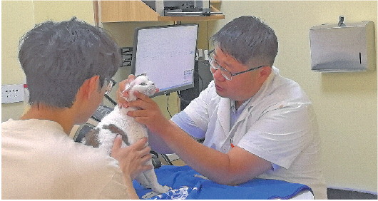 U8国际- U8国际官方网站- U8体育APP下载方合作养羊协议书